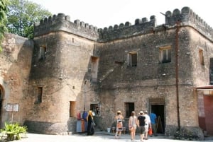 ザンジバル：ストーンタウン、プリズン島、サラーム洞窟ツアーをご案内いたします