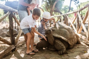 Zanzibar: Stone Town, Prison Island en Salaam Cave Tour