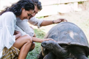 Zanzibar: Stone Town, Prison Island en Salaam Cave Tour