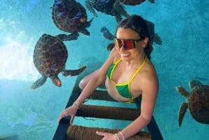 ZANZÍBAR: CIUDAD DE PIEDRA, ISLA PRISIÓN, CUEVA SALAM y tortugas marinas