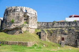 ZANZÍBAR: CIUDAD DE PIEDRA, ISLA PRISIÓN, CUEVA SALAM y tortugas marinas