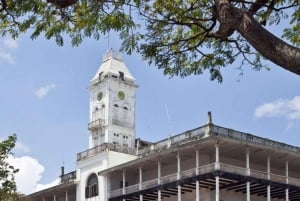 ZANZÍBAR: CIUDAD DE PIEDRA, ISLA PRISIÓN, CUEVA SALAM y tortugas marinas