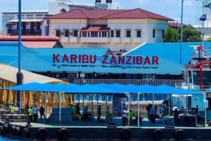 ZANZÍBAR: CIUDAD DE PIEDRA, ISLA PRISIÓN, CUEVA SALAM y tortugas marinas