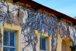 ZANZÍBAR: CIUDAD DE PIEDRA, ISLA PRISIÓN, CUEVA SALAM y tortugas marinas