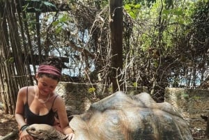 ZANZÍBAR: CIUDAD DE PIEDRA, ISLA PRISIÓN, CUEVA SALAM y tortugas marinas