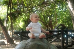 ZANZÍBAR: CIUDAD DE PIEDRA, ISLA PRISIÓN, CUEVA SALAM y tortugas marinas