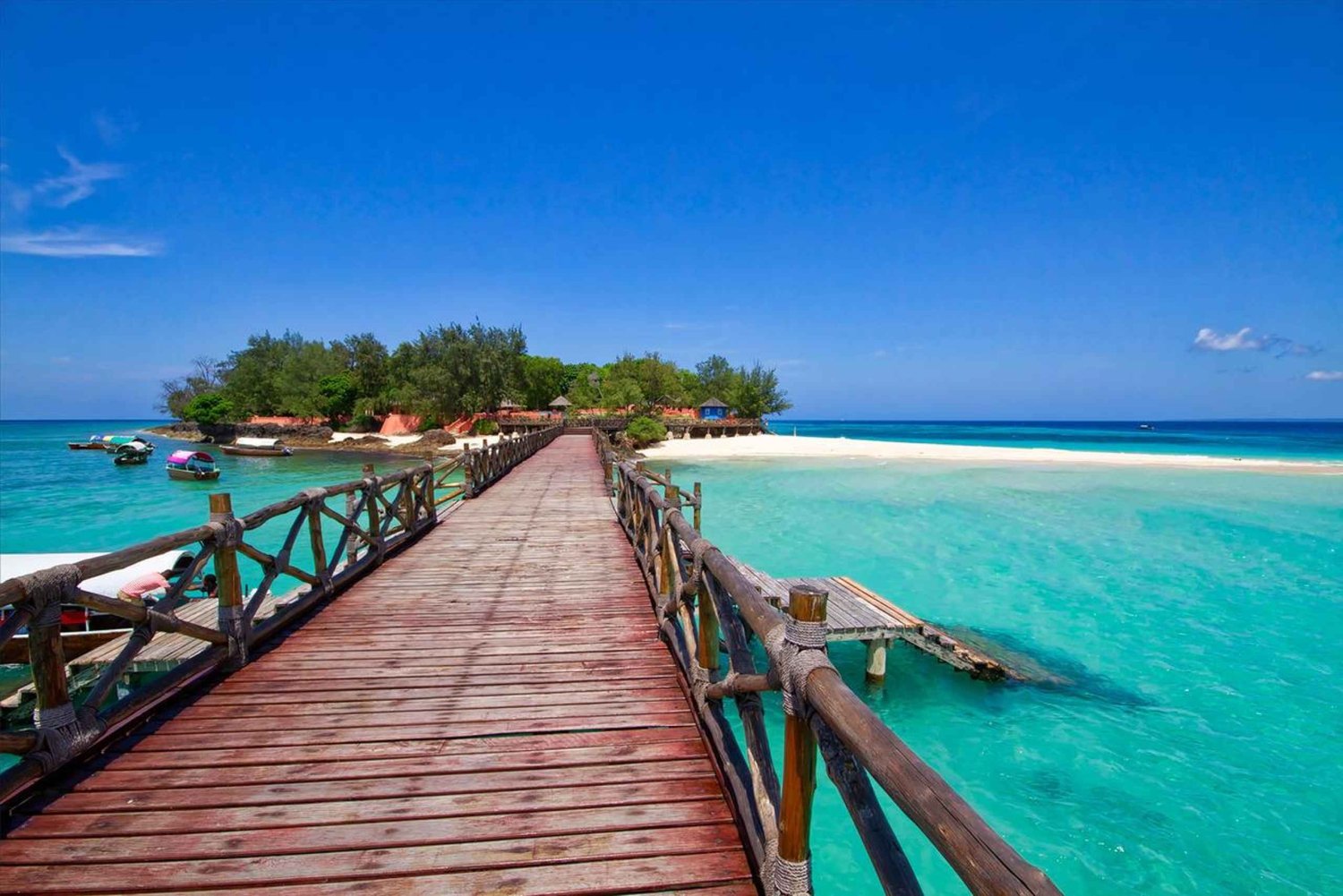 Zanzibar: Privat tur til Stone Town, Prison Island og krydderplantasje