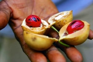 Занзибар: частная экскурсия по Каменному городу, острову Пленников и ферме специй