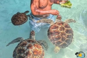 ZANZIBAR: Stone Town och Salaam Cave