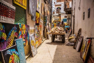 ZANZIBAR: Stone Town och Salaam Cave