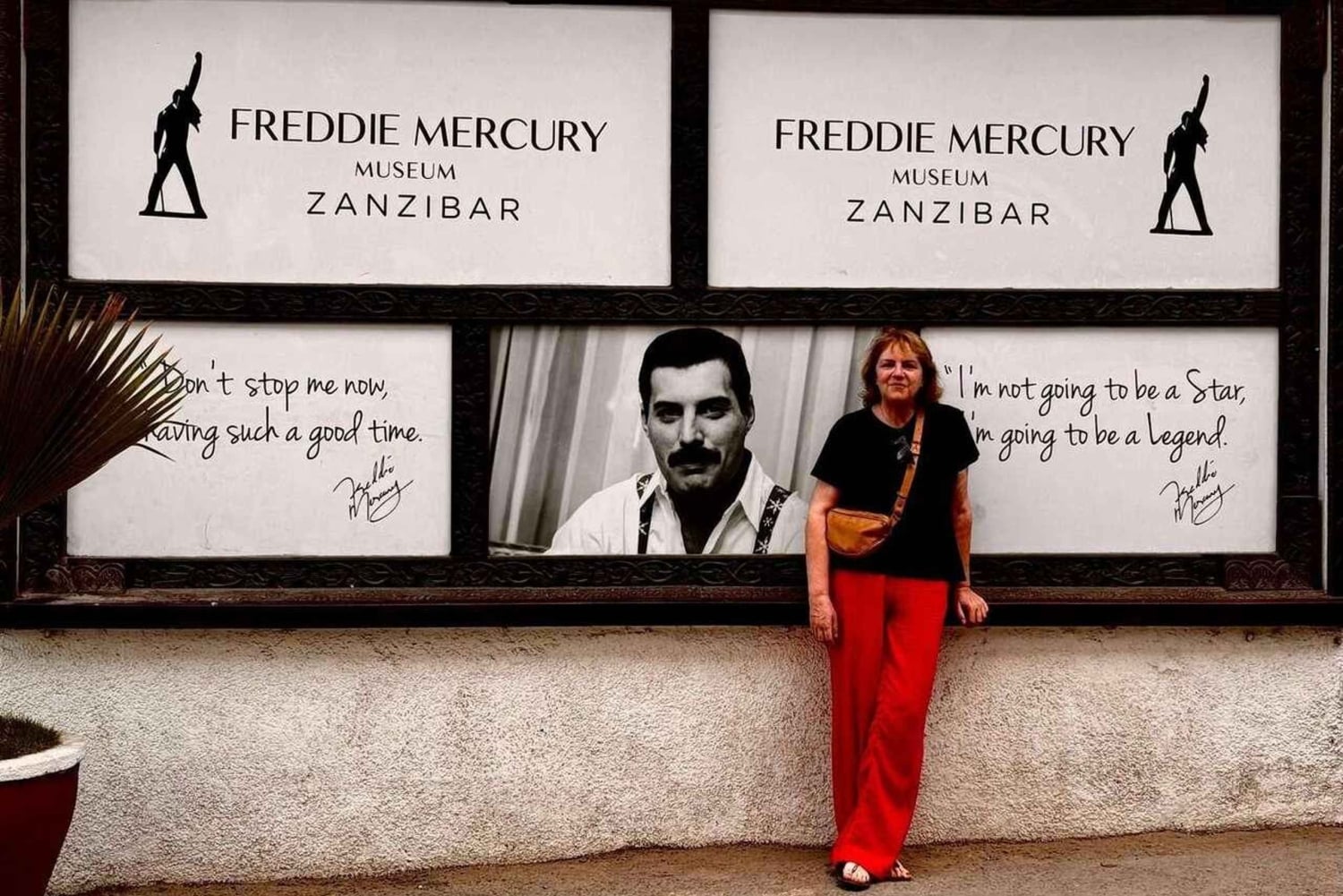 ZANZIBAR : Stone Town, plongée avec tuba, étoiles de mer et tortues de mer