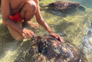 ザンジバル：ストーンタウン、シュノーケリング、ヒトデとウミガメをご覧ください