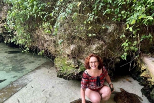 ザンジバル：ストーンタウン、シュノーケリング、ヒトデとウミガメをご覧ください