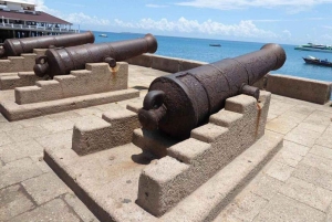 ZANZIBAR: Stone Town, Snorkeling + Starfish & Sea Turtles