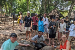 Zanzibar: Stone Town, krydderfarm og fengselsøya