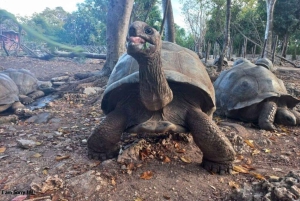 Zanzibar: Stone Town, krydderfarm og fengselsøya