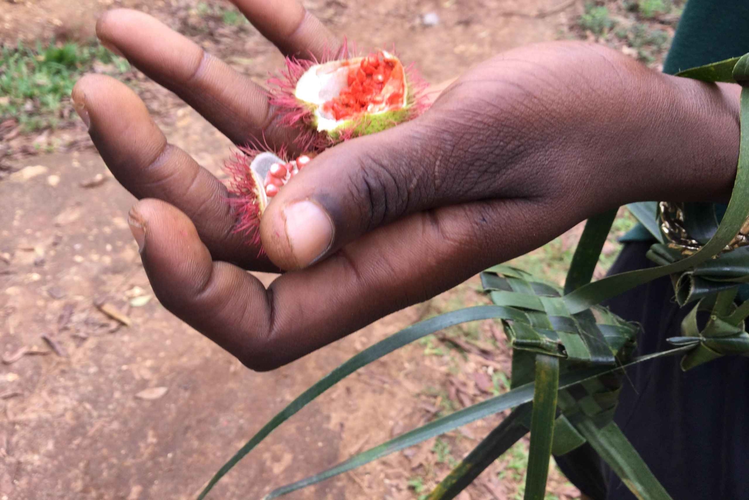 Zanzibar: yksityinen kierros kiviaikaiseen kaupunkiin ja maustefarmille, sisältää lounaan