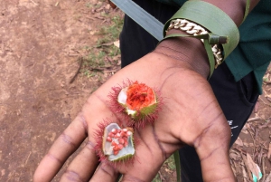 Zanzibar: yksityinen kierros kiviaikaiseen kaupunkiin ja maustefarmille, sisältää lounaan