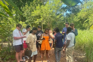 Zanzibar: yksityinen kierros kiviaikaiseen kaupunkiin ja maustefarmille, sisältää lounaan