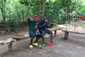 Zanzibar: yksityinen kierros kiviaikaiseen kaupunkiin ja maustefarmille, sisältää lounaan