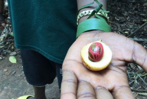 Zanzibar: yksityinen kierros kiviaikaiseen kaupunkiin ja maustefarmille, sisältää lounaan