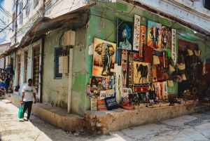 Zanzibar: yksityinen kierros kiviaikaiseen kaupunkiin ja maustefarmille, sisältää lounaan