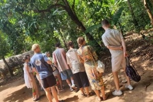 Zanzibar : visite privative de la Ville de pierre et d'une ferme à épices, déjeuner inclus