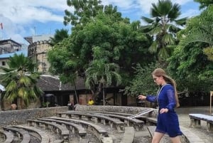 Zanzibar : visite privative de la Ville de pierre et d'une ferme à épices, déjeuner inclus
