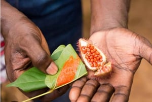 Zanzibar: Stone Town and Spice Farm Private Tour with Lunch