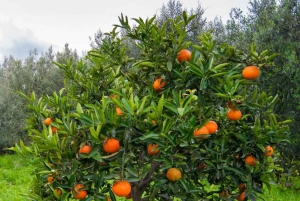 ЗАНЗИБАР: Каменный город, ферма специй и ресторан The Rock