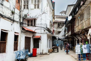 ZANZIBAR: Rundtur i Stone Town och på kryddodling med expertguide