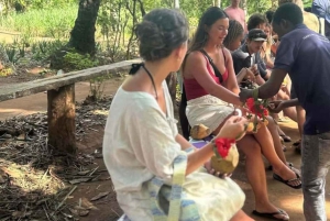 ZANZIBAR: Rundtur i Stone Town och på kryddodling med expertguide