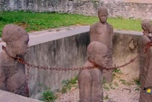 Занзибар: экскурсия по Каменному городу и ферме специй с обедом