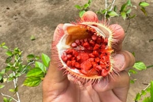 Zanzibar: Stone Town and Spice Farm Private Tour with Lunch