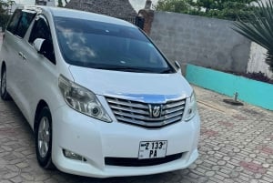 Zanzibar: Stone Town and Spice Farm Private Tour with Lunch