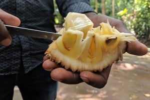 Sansibar: Stone Town & Gewürzplantagen-Tour mit Mittagessen