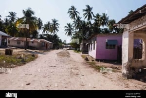 Zanzibar: Cidade de Pedra, fazenda de especiarias com almoço e passeio pela vila