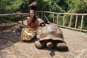 ZANZIBAR: Stone Town och kryddgård