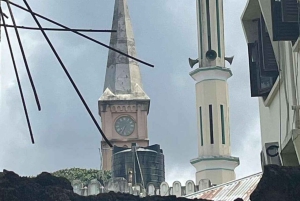 ZANZIBAR: Stone Town och kryddgård