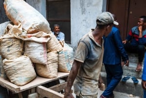 Zanzibar: Päiväretki Stone Towniin, maustekierros, Prison Island
