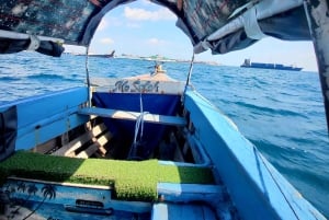 Zanzibar: Päiväretki Stone Towniin, maustekierros, Prison Island