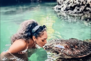 Sansibar: Stone Town, Gewürzfarm & Schwimmen mit Schildkröten