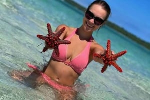 زنجبار: مدينة ستون تاون، نجم البحر، مع البحيرة والصخرة