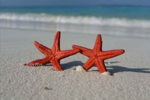 زنجبار: مدينة ستون تاون، نجم البحر، مع البحيرة والصخرة