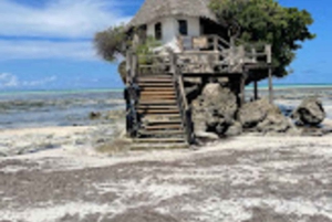 زنجبار: مدينة ستون تاون، نجم البحر، مع البحيرة والصخرة