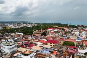 Zanzibar: tour gastronomico del mercato di Stone Town, trasferimento