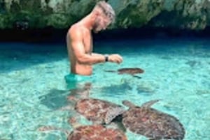 ZANZIBAR: Stone Town, foresta di Jozani, grotta di Salaam e The Rock