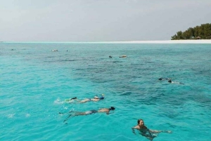 Zanzíbar: visita a Stone Town y playa de Nakupenda con almuerzo
