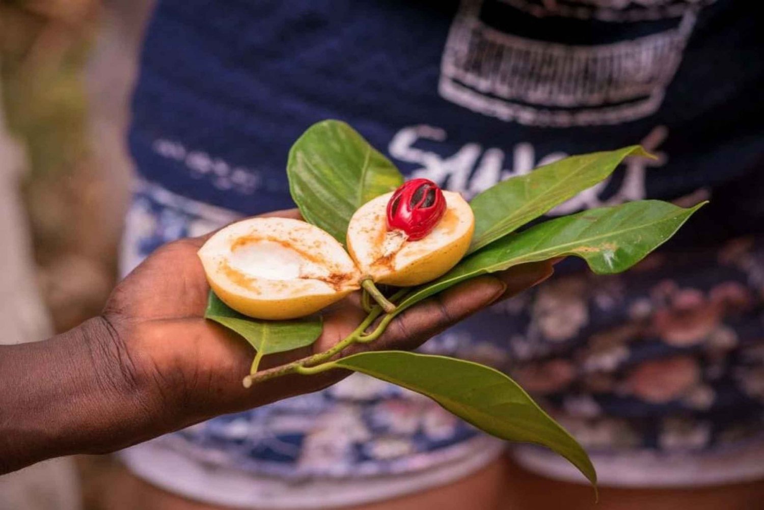 Sansibar: Kivikaupunkikierros ja maustetilavierailu lounaalla