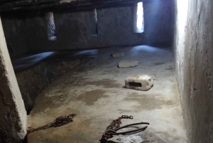 ザンジバル：ストーンタウンツアーとスパイス農園をご案内します